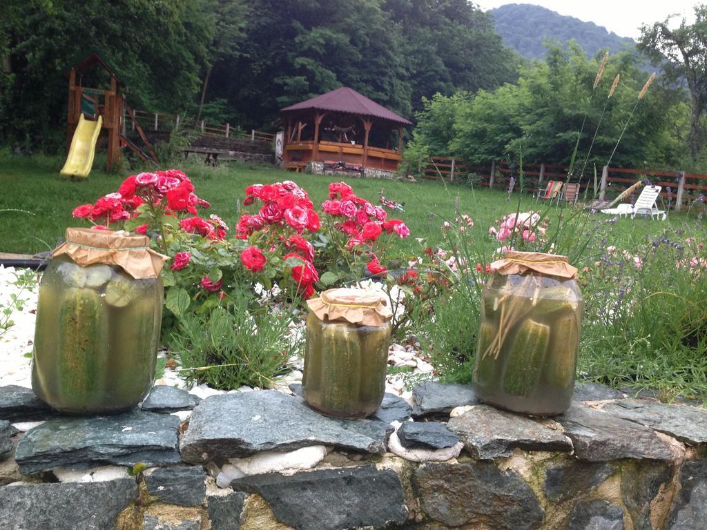 Gasthaus Maria Borlova Екстериор снимка