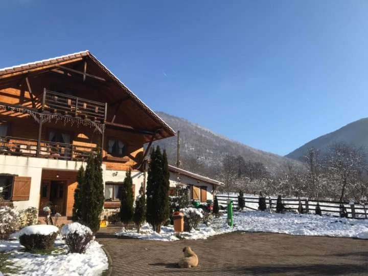Gasthaus Maria Borlova Екстериор снимка