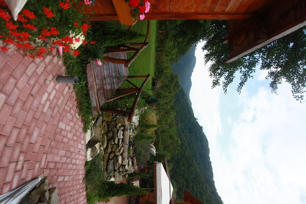 Gasthaus Maria Borlova Екстериор снимка